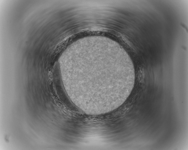 X0000102410821200808291505