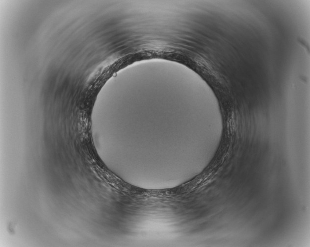 X0000102410822200808291505