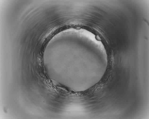 X0000102410823200808291505