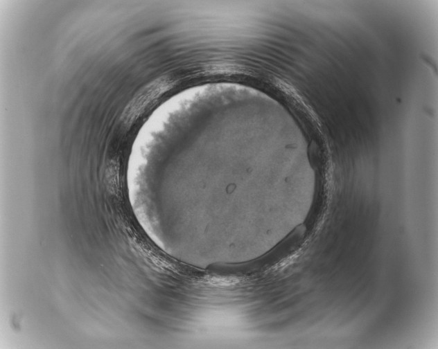 X0000102410825200808291505