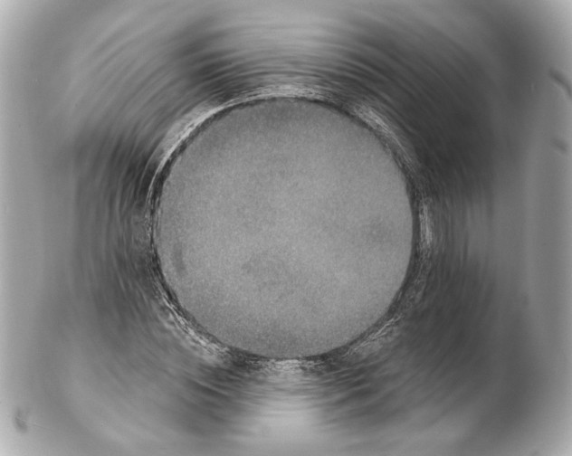 X0000102410828200808291505