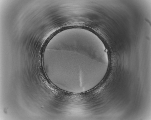 X0000102410830200808291505