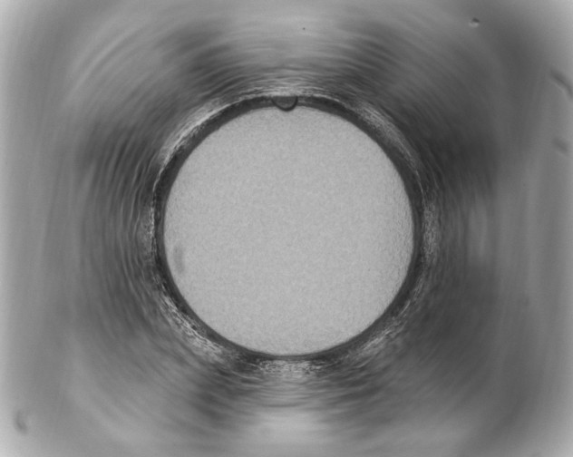 X0000102410831200808291505