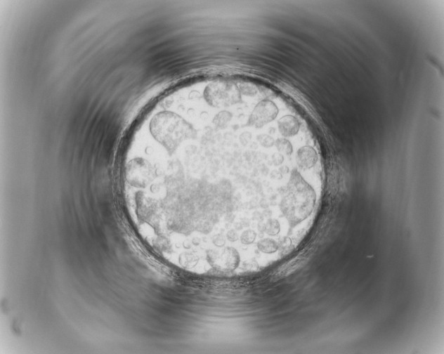 X0000102410832200808291505