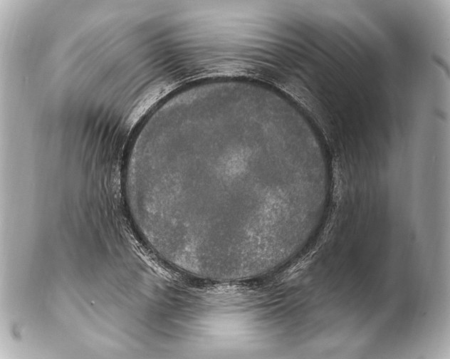 X0000102410834200808291505