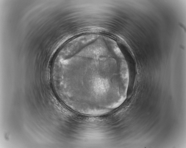 X0000102410835200808291506