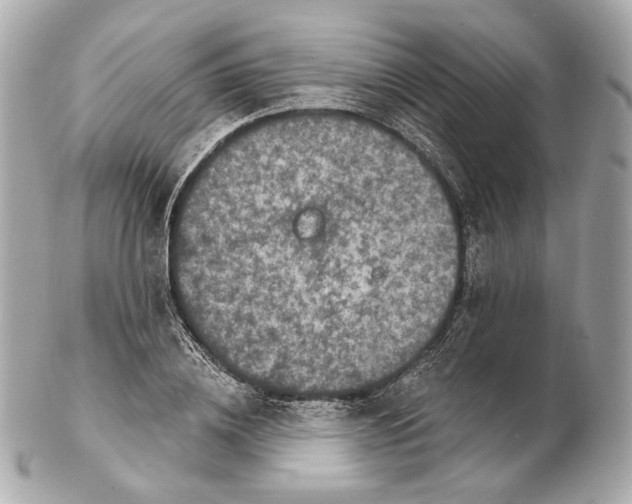 X0000102410836200808291506