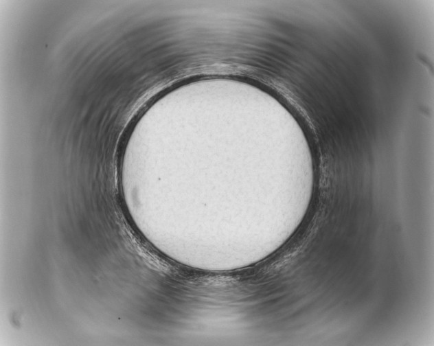 X0000102410837200808291506