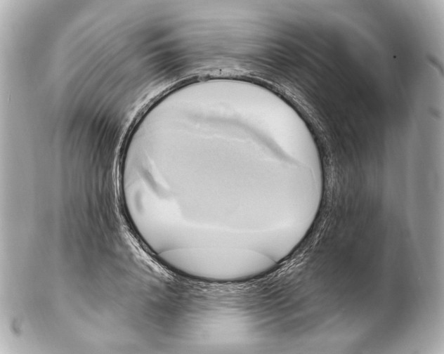 X0000102410840200808291506