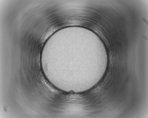 X0000102410842200808291506