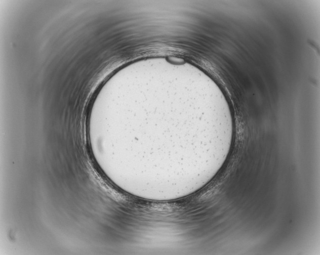 X0000102410843200808291506