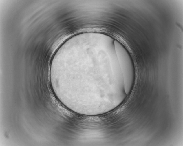 X0000102410844200808291506