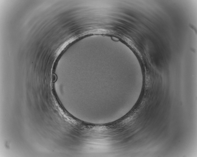 X0000102410845200808291506