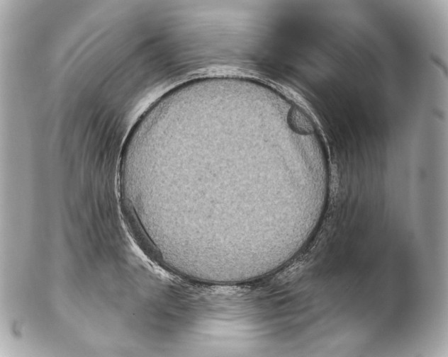 X0000102410847200808291506