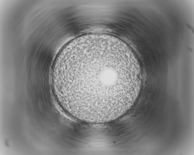 X0000102410848200808291506