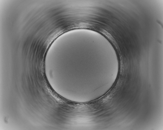 X0000102410850200808291506