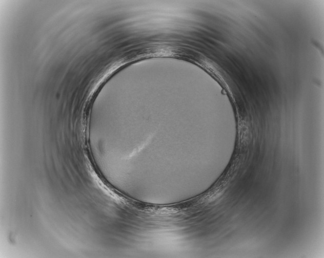 X0000102410851200808291506