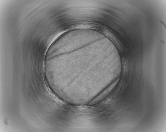 X0000102410852200808291506