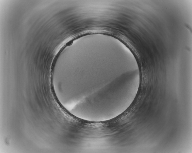 X0000102410853200808291506