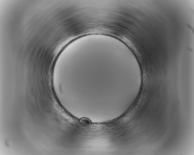 X0000102410854200808291506