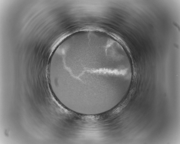 X0000102410855200808291506