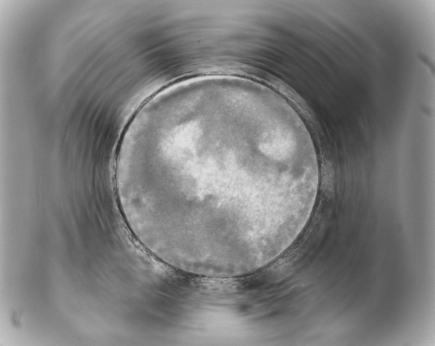 X0000102410856200808291506