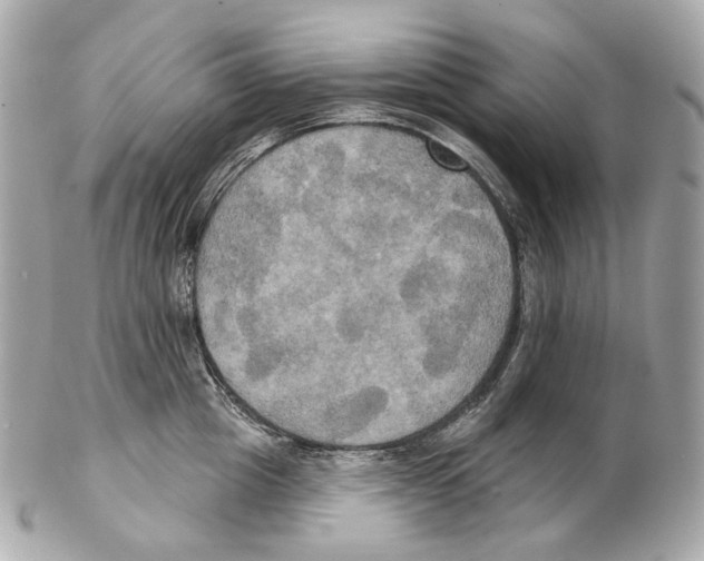 X0000102410857200808291506