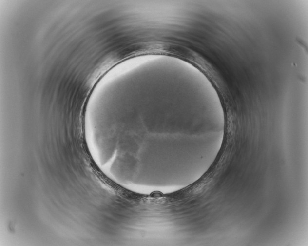 X0000102410858200808291506