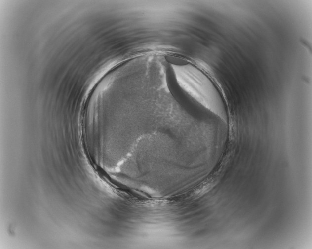 X0000102410859200808291506