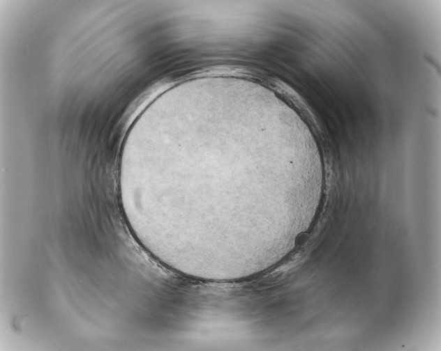 X0000102410860200808291506