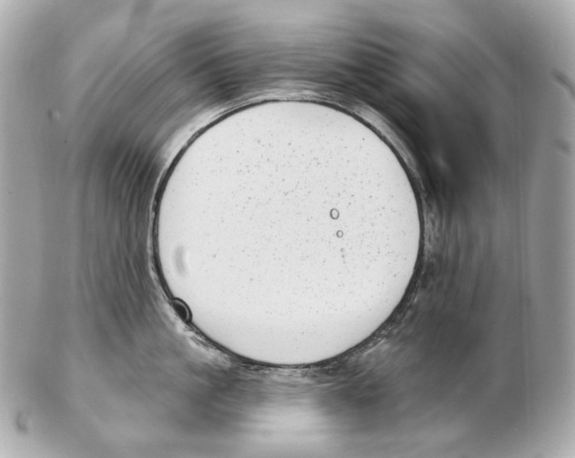 X0000102410861200808291506