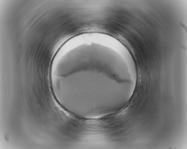 X0000102410863200808291506