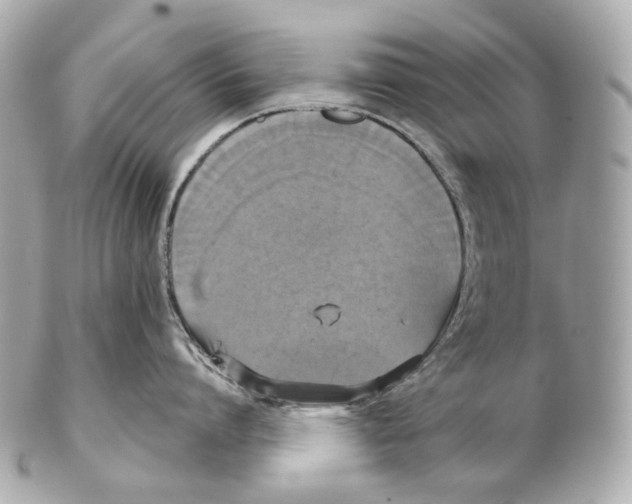 X0000102410864200808291506