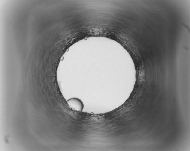 X0000102410865200808291505