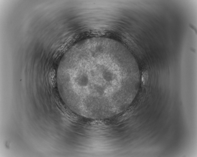 X0000102410867200808291505