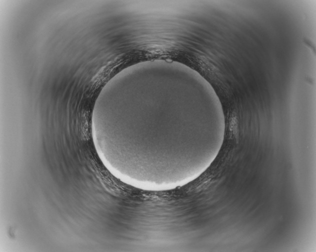 X0000102410868200808291505