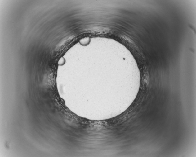 X0000102410869200808291505