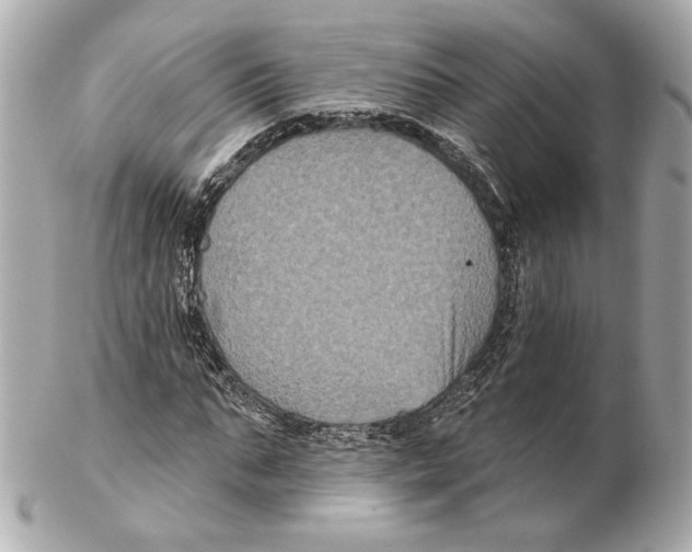 X0000102410871200808291505