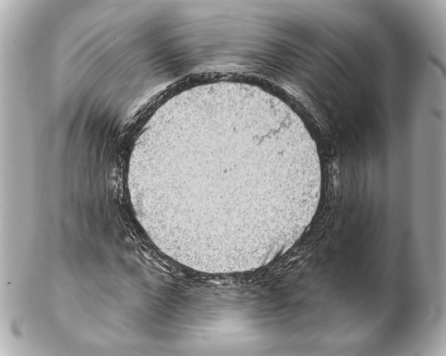 X0000102410872200808291505