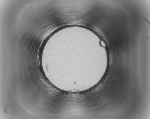 X0000102410876200808291505