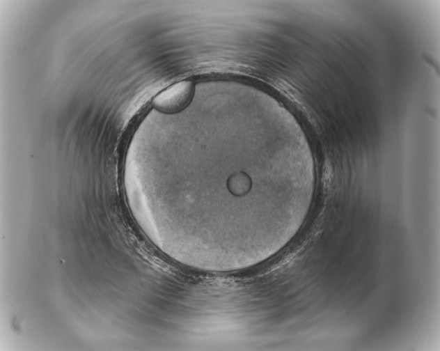 X0000102410877200808291505