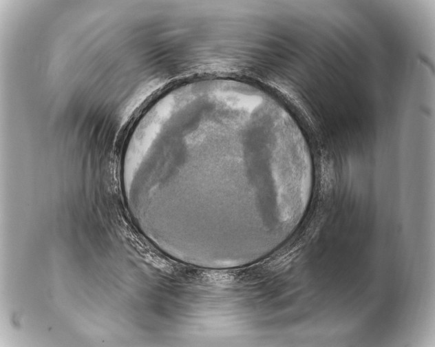 X0000102410878200808291505