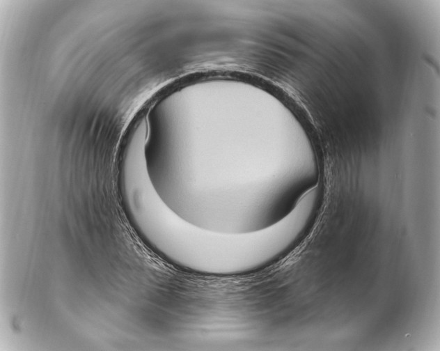 X0000102410879200808291505