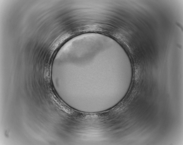 X0000102410882200808291505