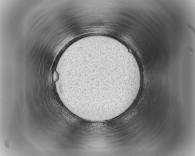 X0000102410883200808291505