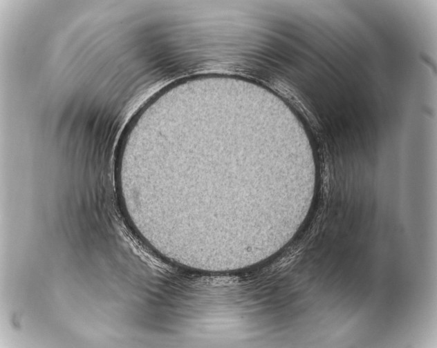 X0000102410884200808291505