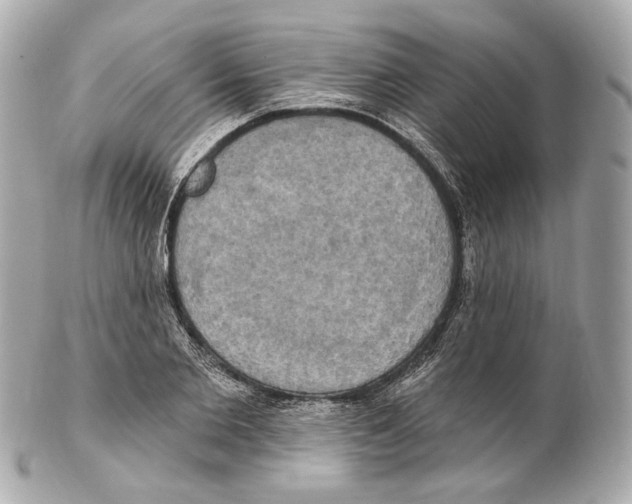 X0000102410885200808291505