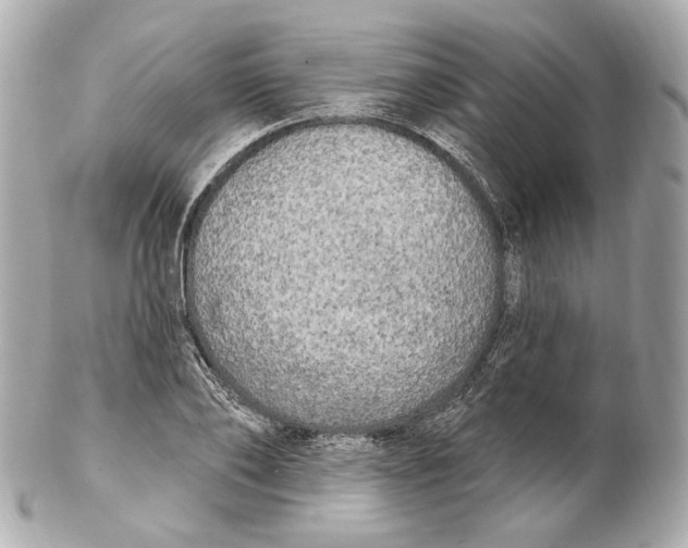 X0000102410886200808291505