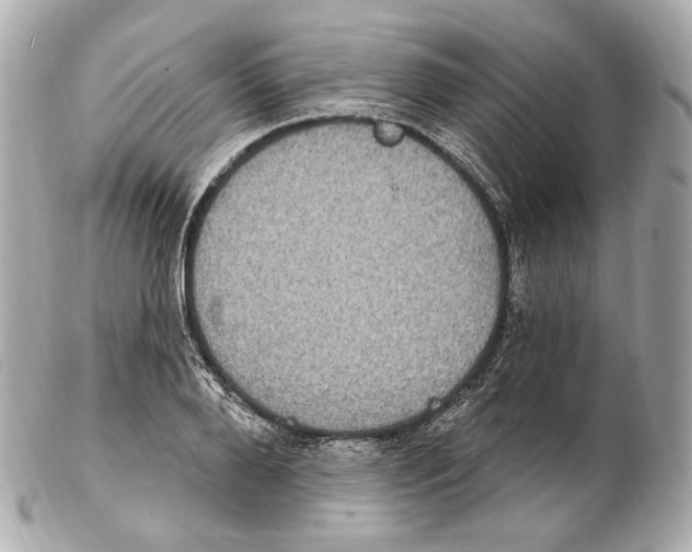 X0000102410888200808291505