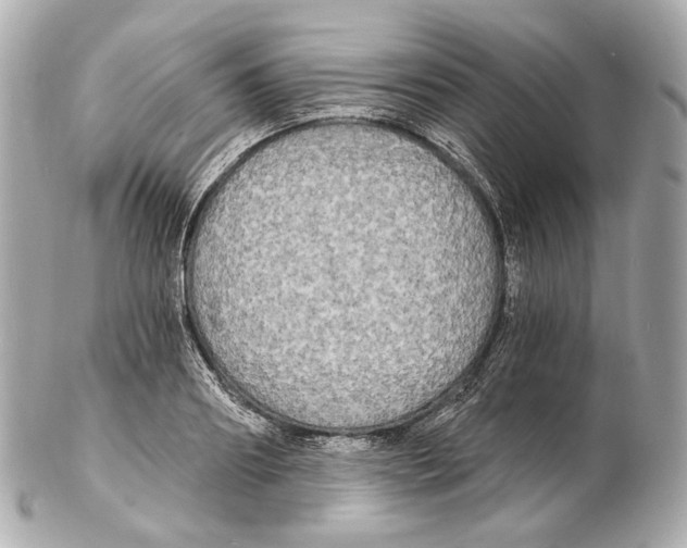 X0000102410890200808291505